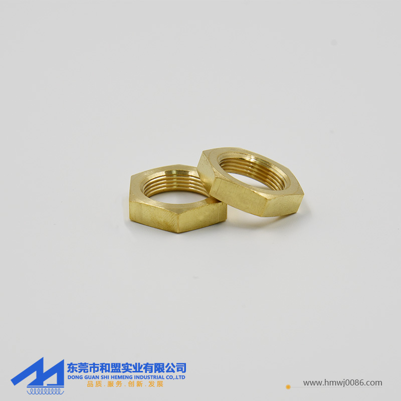 反牙六角銅螺母LM-03